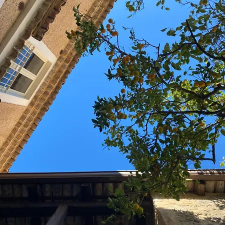 La Del Curato Lentiscosa