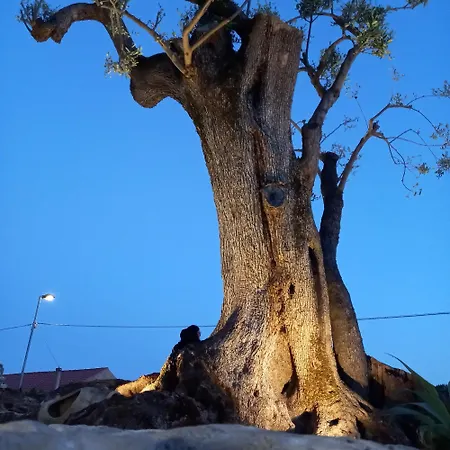 La Del Curato * Lentiscosa